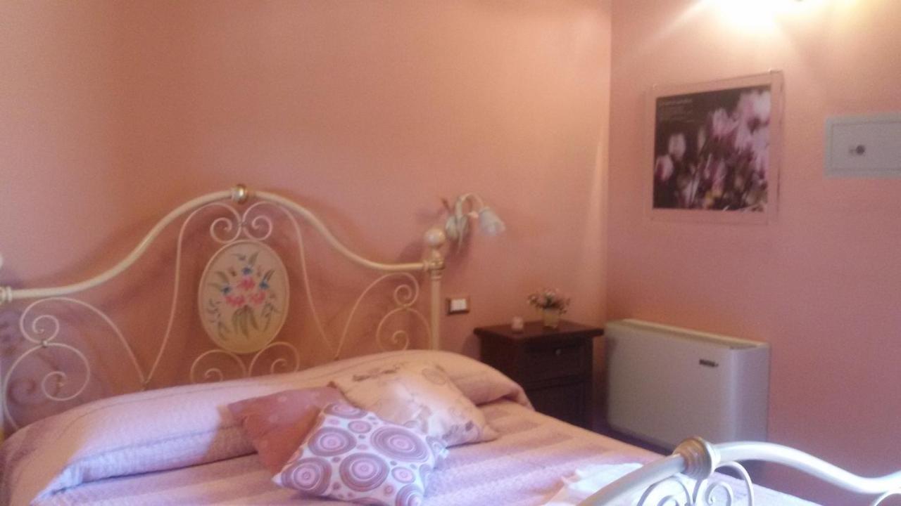 Le Camere Di Nonna Mara Montescudaio Exteriör bild